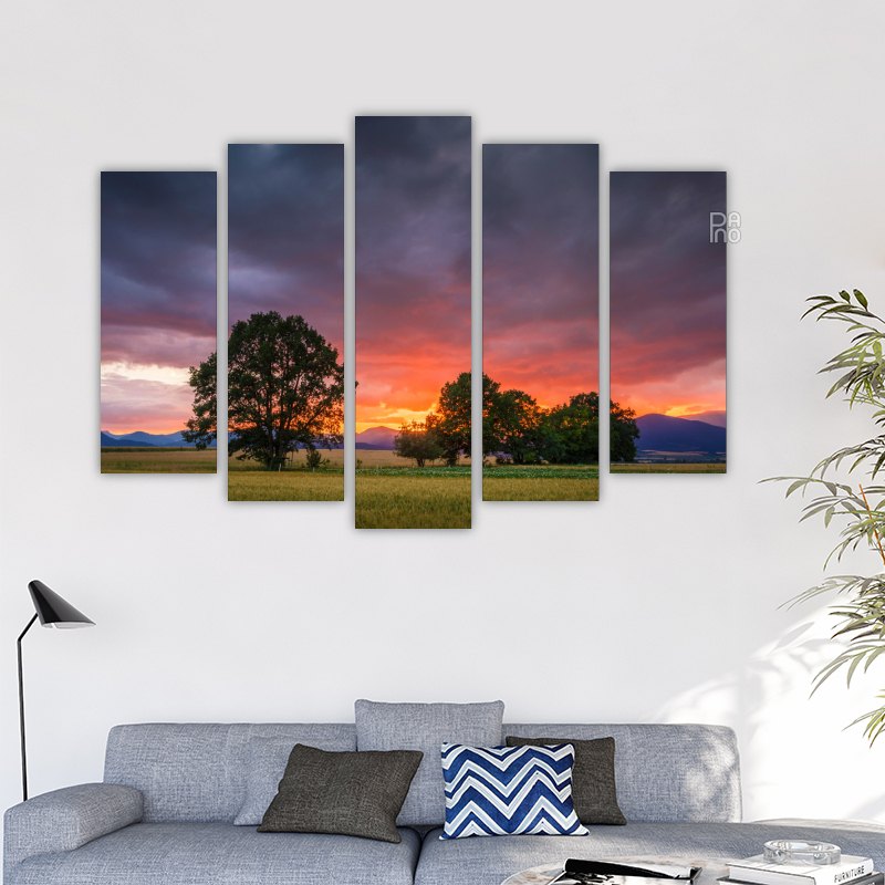Beautiful sunset
