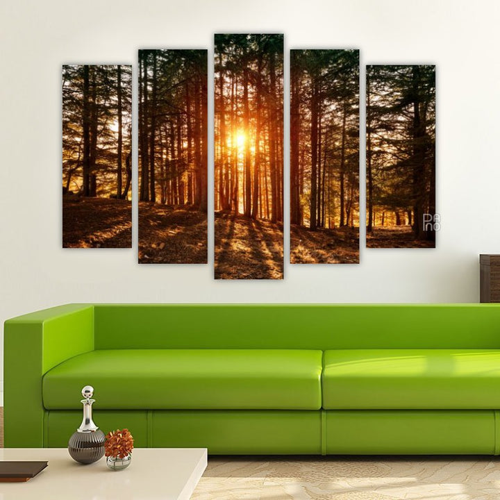 Beautiful forest landscape