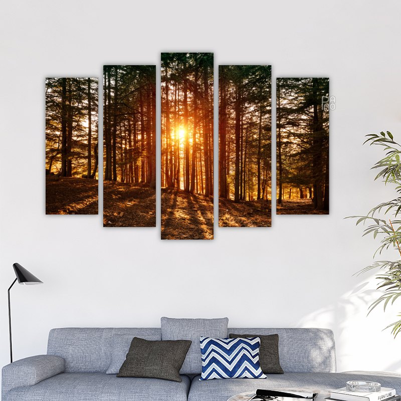 Beautiful forest landscape