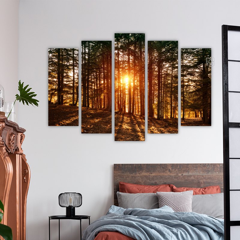 Beautiful forest landscape