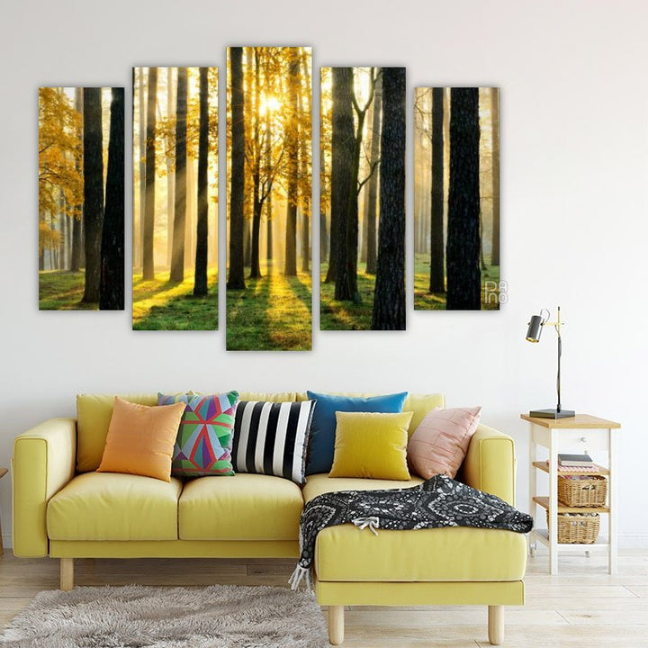 Enchanted forest