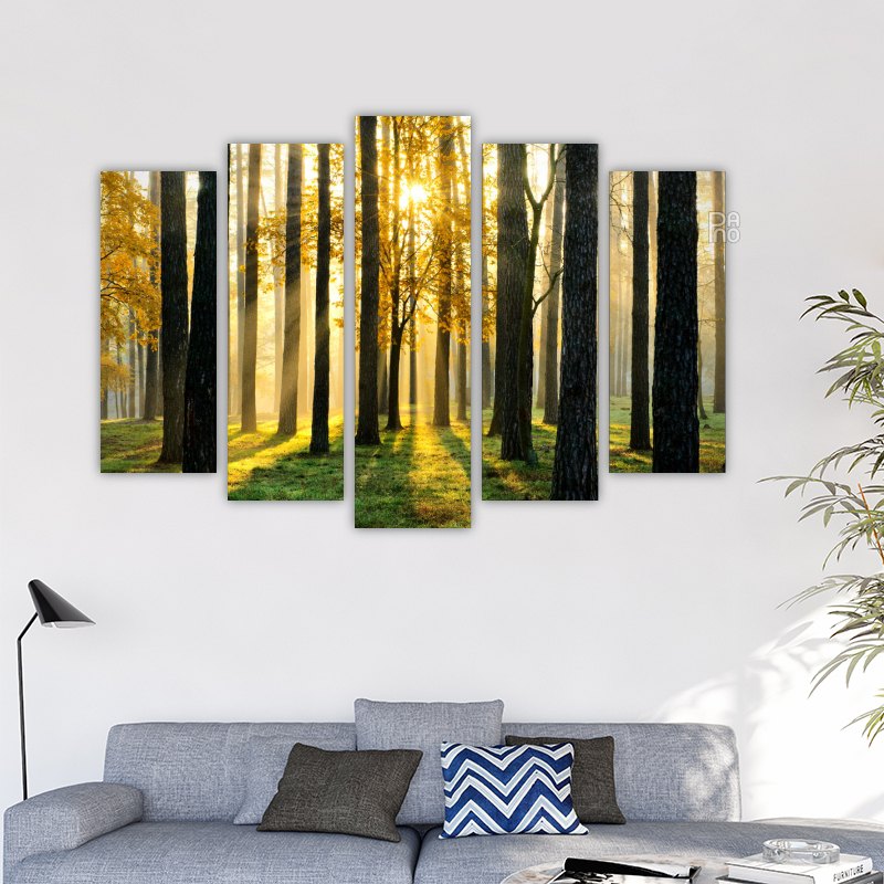Enchanted forest