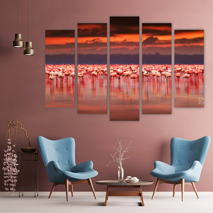 African flamingos at sunset