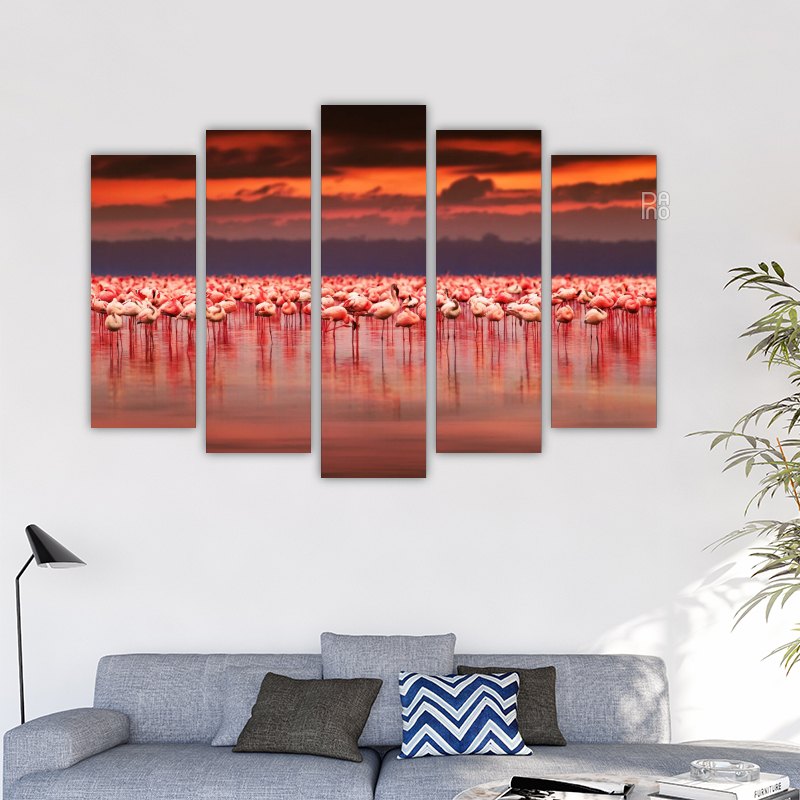 African flamingos at sunset