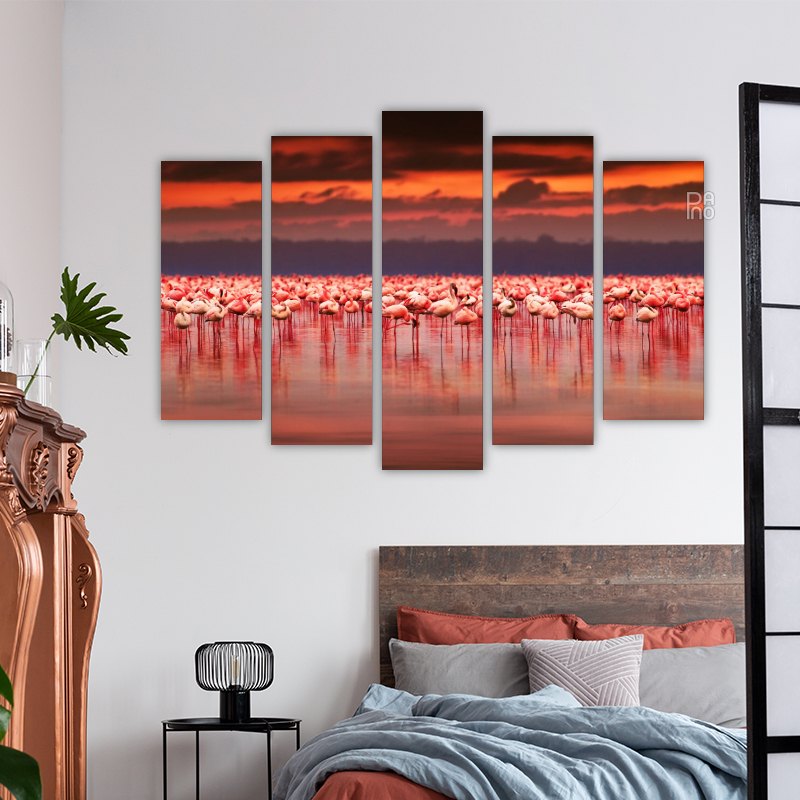 African flamingos at sunset