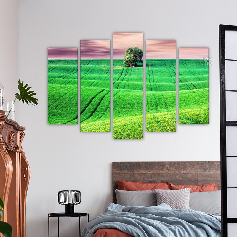 Rural landscape with field and tree