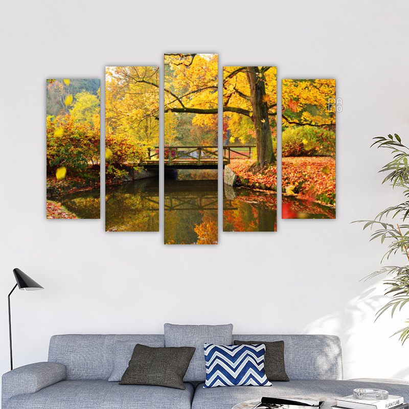 Autumn Forest