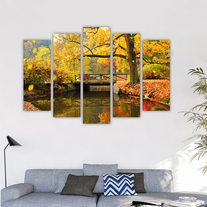 Autumn Forest