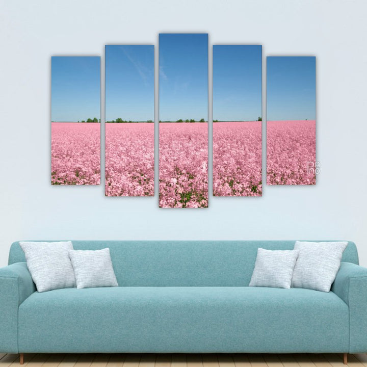 Pink Field