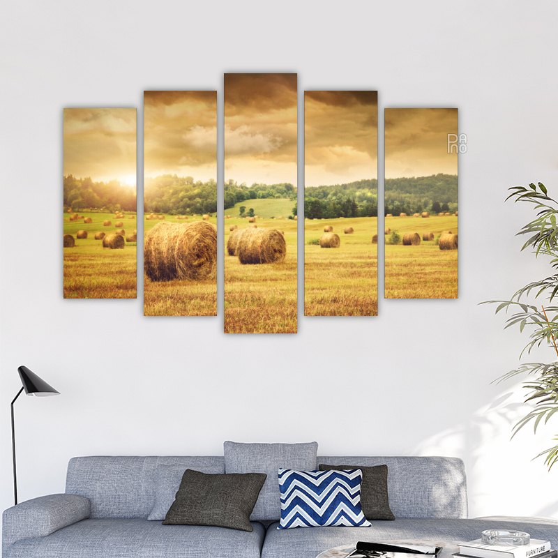 Golden Field