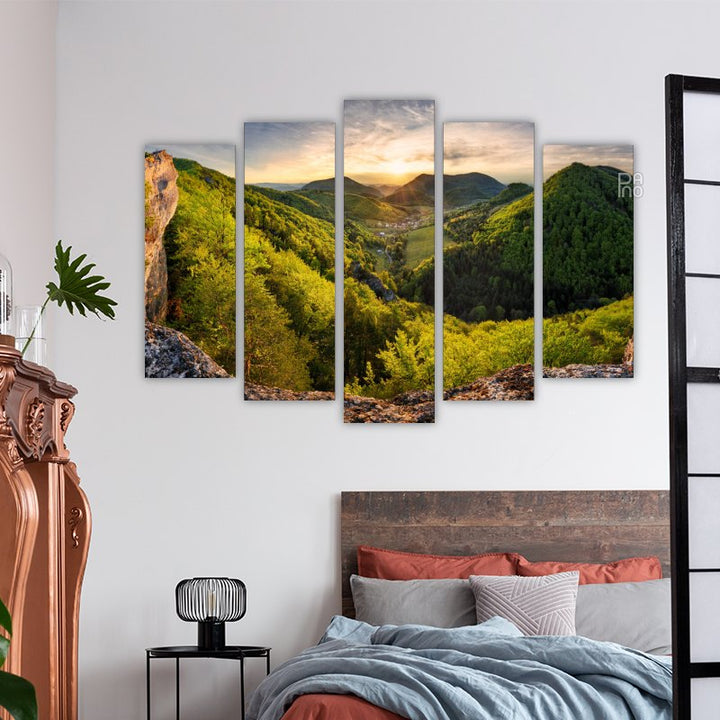 Panorama of Forest and Mountain