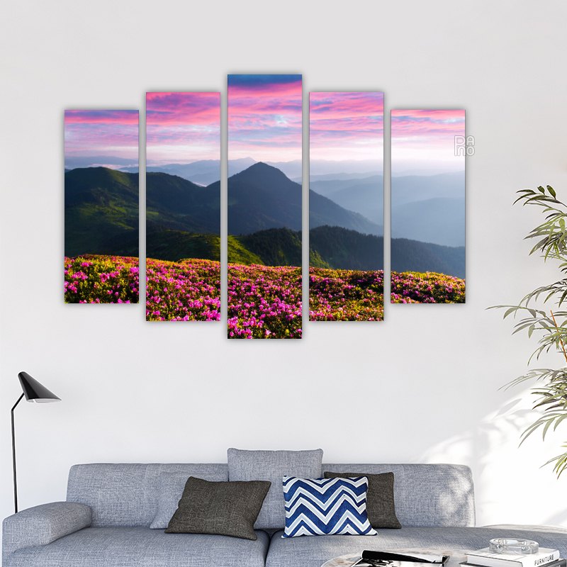 Field of Pink Flowers