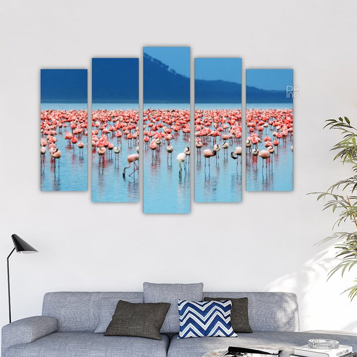 African Flamingos
