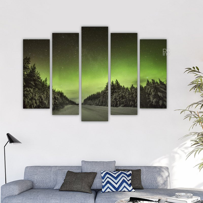 Amazing northern lights