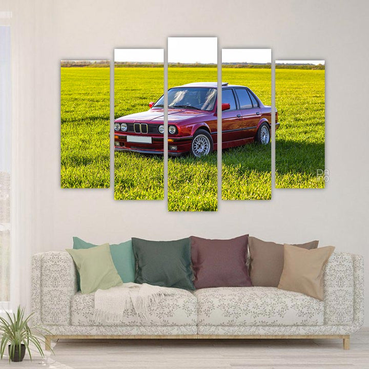 Red Car in the Field