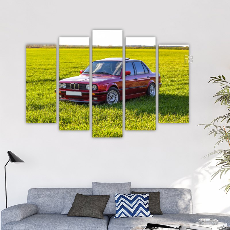 Red Car in the Field
