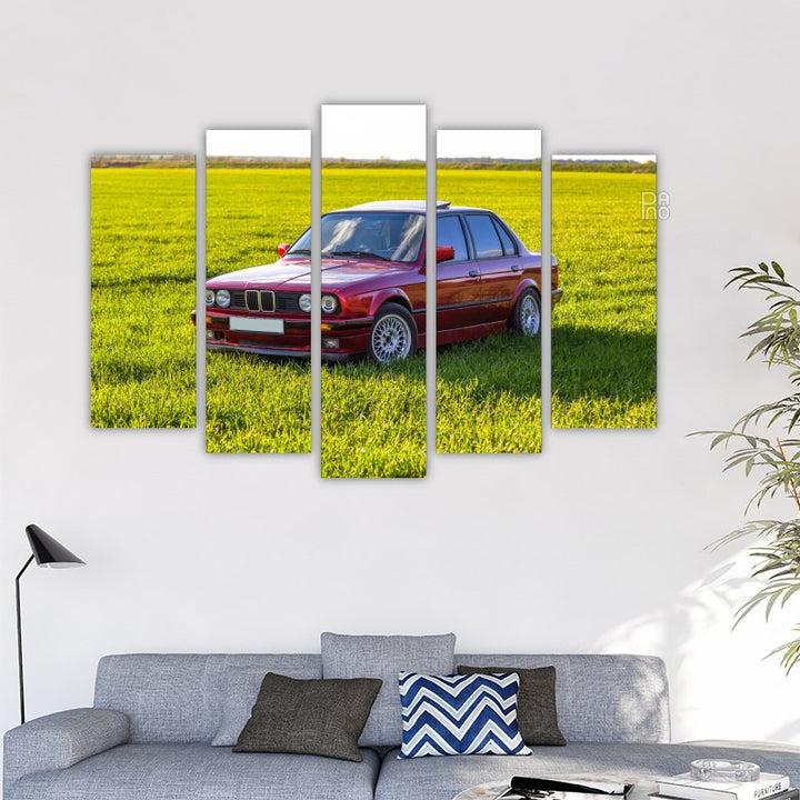 Red Car in the Field