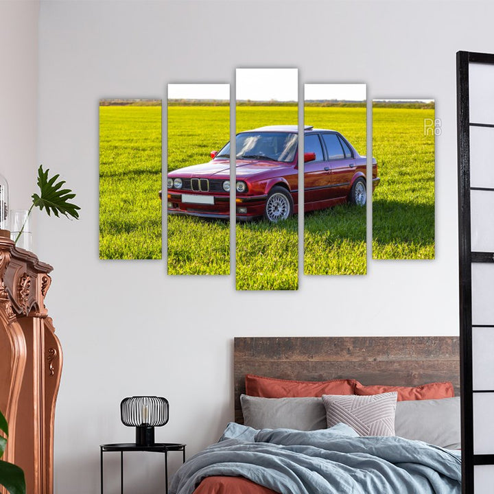 Red Car in the Field