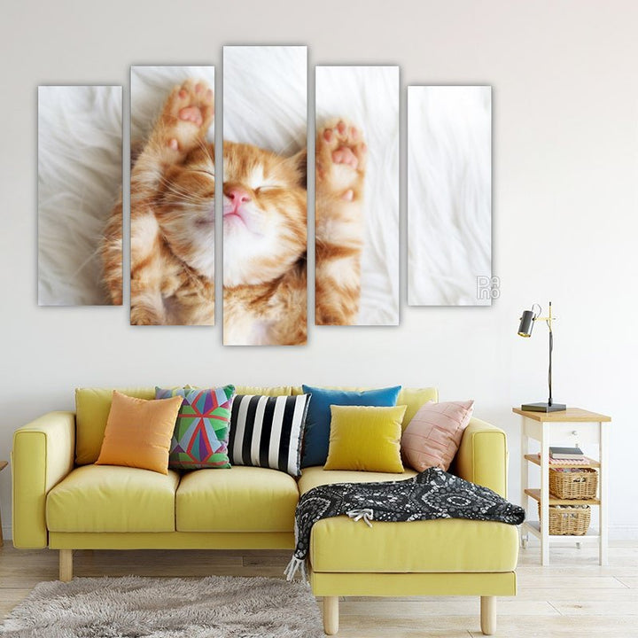 Ginger Kitten
