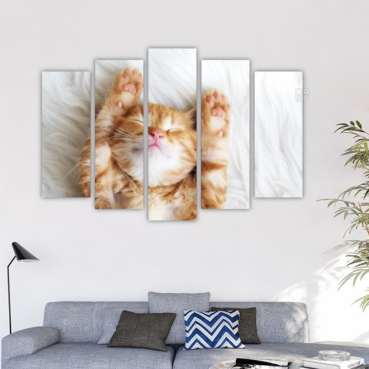 Ginger Kitten