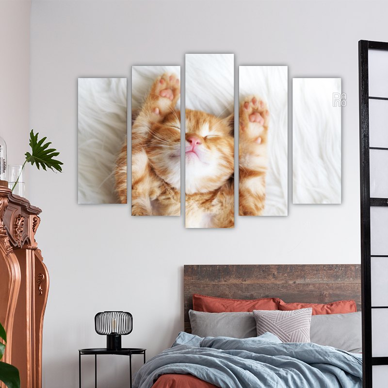Ginger Kitten