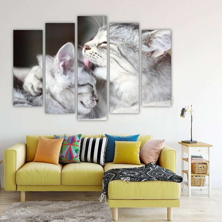 Siberian Cats