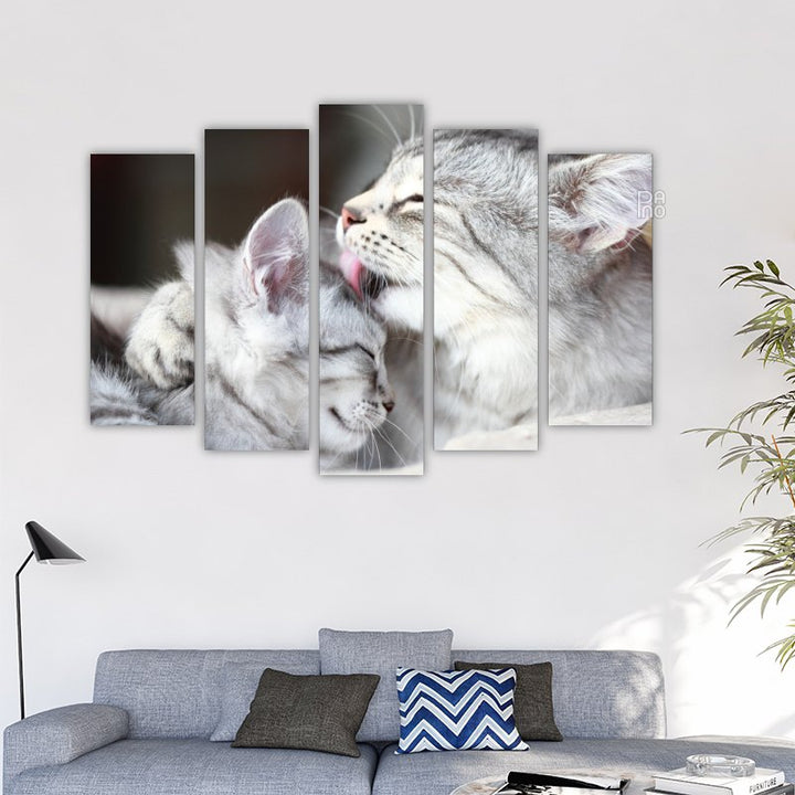 Siberian Cats