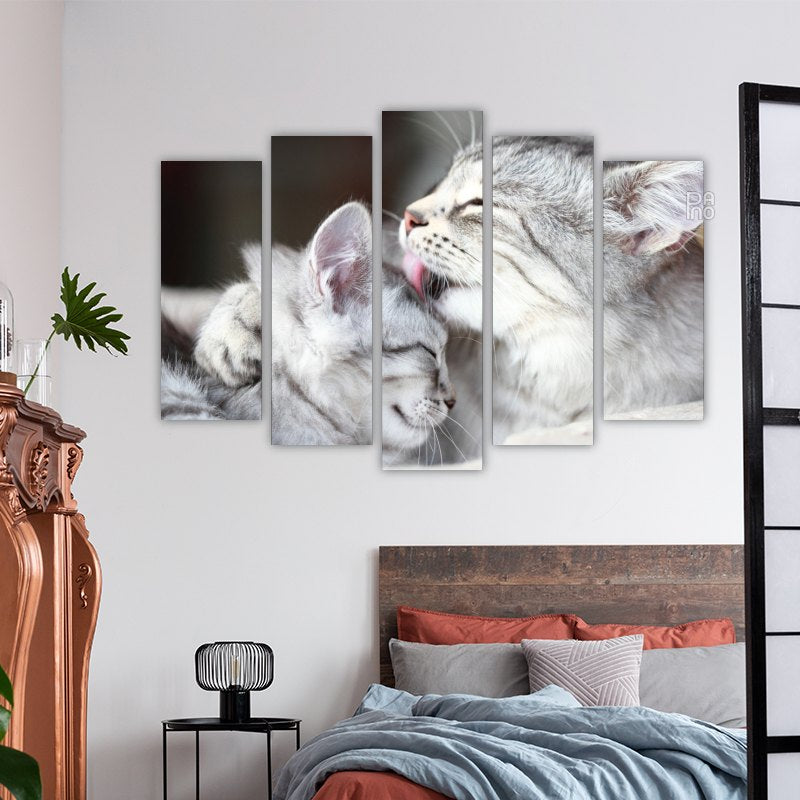 Siberian Cats