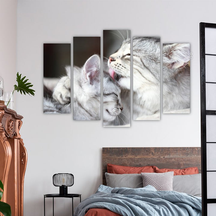 Siberian Cats