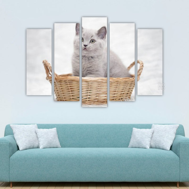 Gray Kitten in a Basket