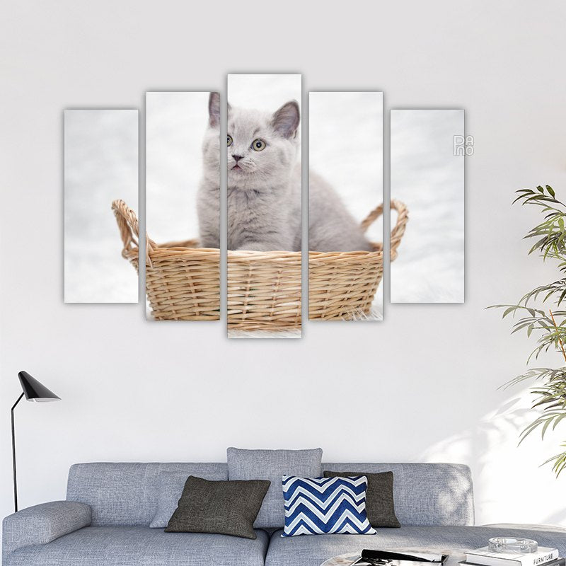 Gray Kitten in a Basket