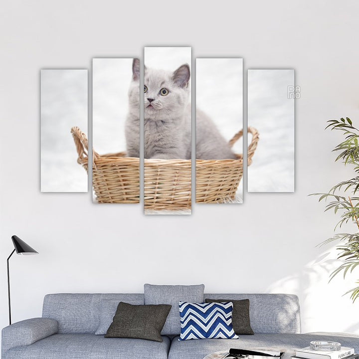 Gray Kitten in a Basket