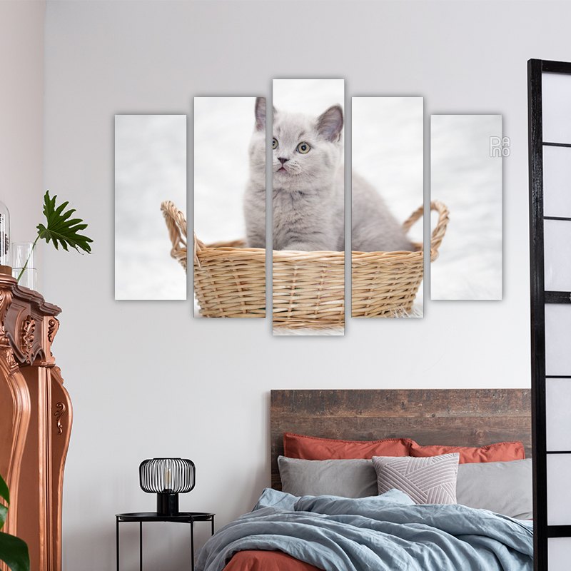 Gray Kitten in a Basket