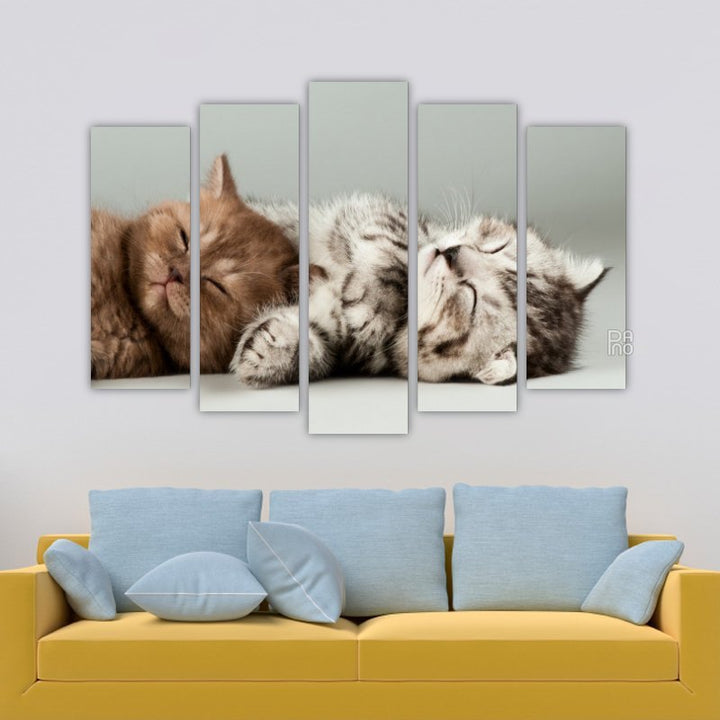 Sleeping Kittens