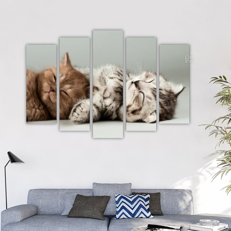 Sleeping Kittens