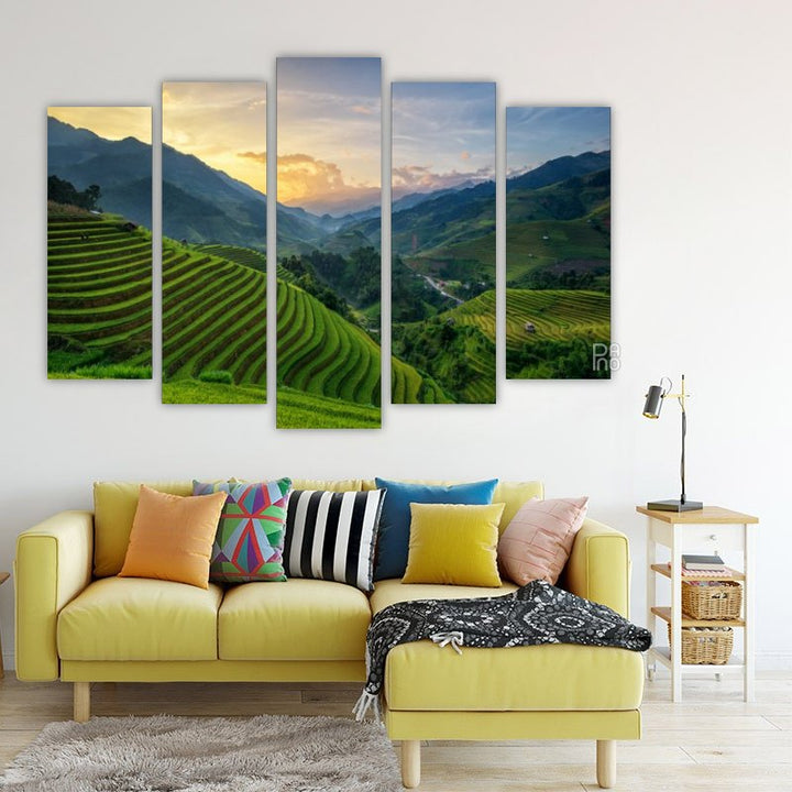 Rice Fields in Vietnam