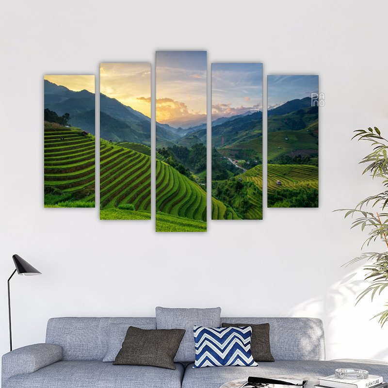 Rice Fields in Vietnam
