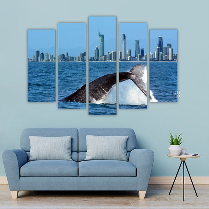 Whales at Gold Coast, Australia