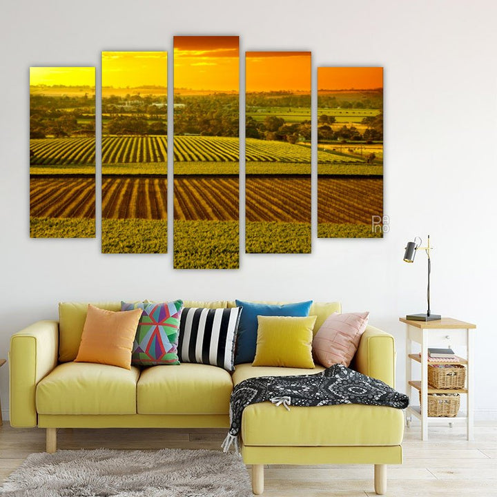 Vineyards in Australia