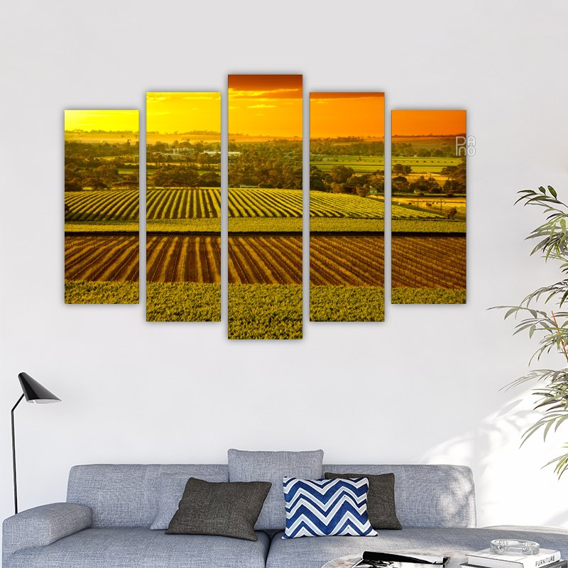 Vineyards in Australia