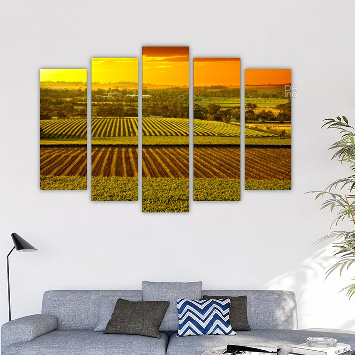 Vineyards in Australia