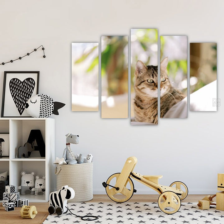 Tabby Cat Hiding