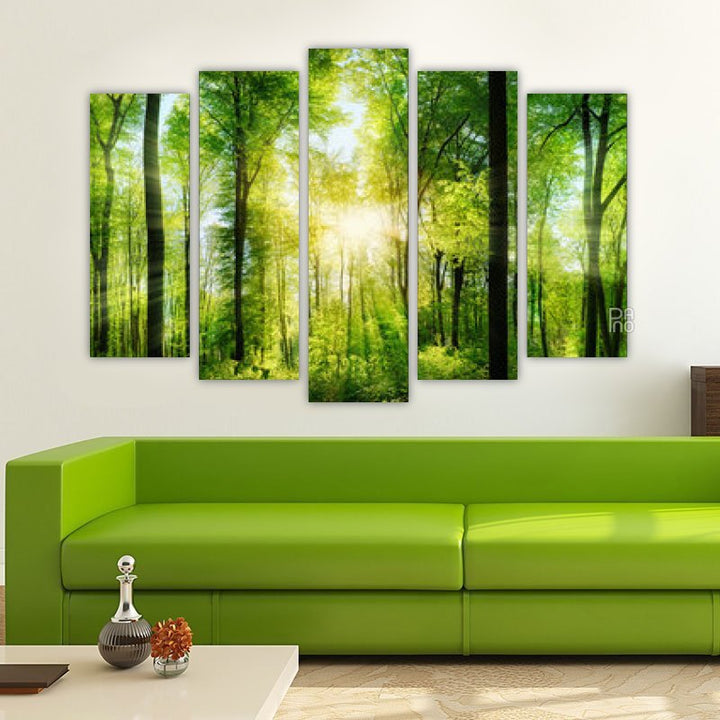 Forest Panorama with Sun Rays