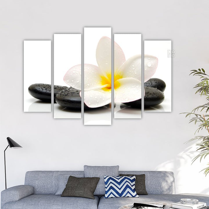 Zen Stones and Jasmine