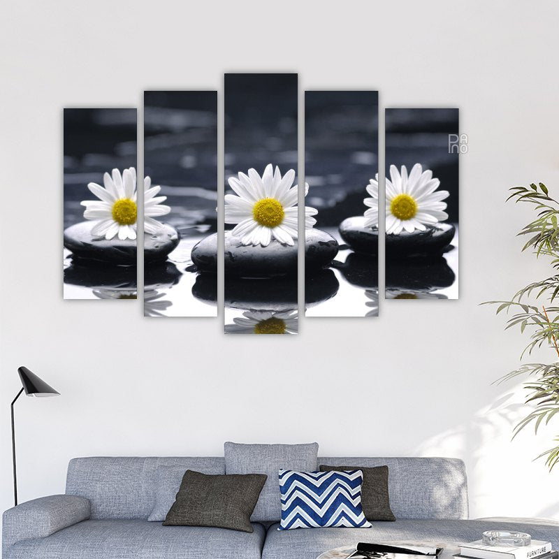 Zen Stones and Daisies