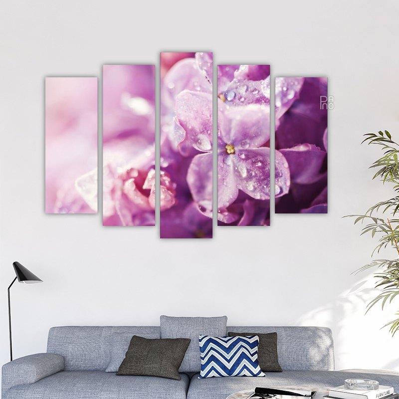 Beautiful Lilies