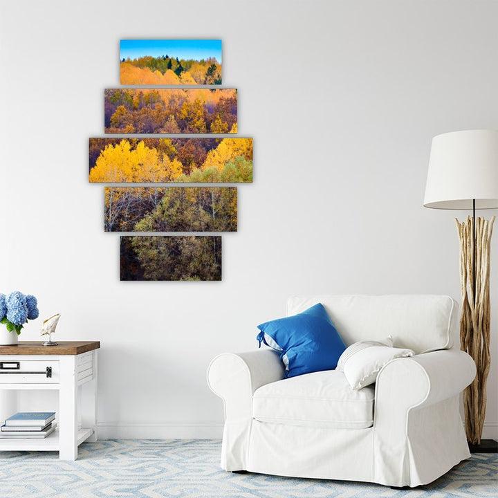 Colorful Forest