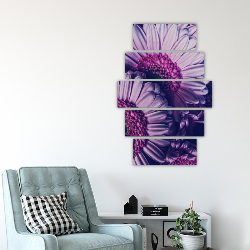 Purple Gerberas