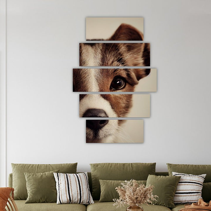 Sweet Little Dog