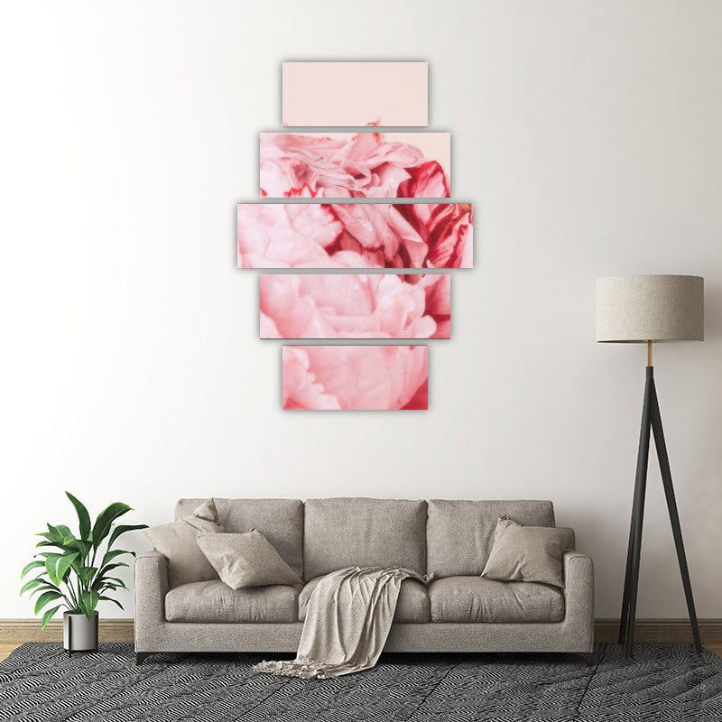 Shades of Pink